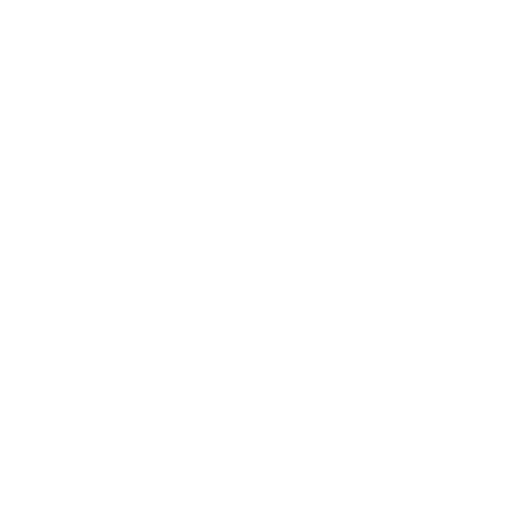 Les 5 incontournables